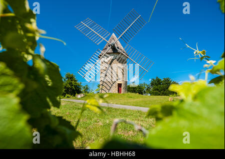 Weinberge und Windmühle in der Nähe von Loupiac, Gironde, Aquitanien, Frankreich Stockfoto