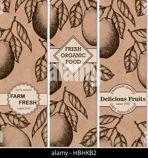 Natürliche Bio tropische Früchte vertikale Banner Satz von Hand gezeichnete Pomelo-Design-Vorlage Stock Vektor