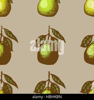 Vektor Musterdesign mit Pomelo.  Abbildung. Stock Vektor