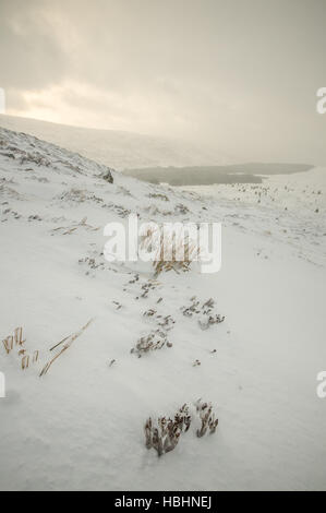 Schnee in Wicklow Mountains Stockfoto