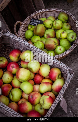 Äpfel in Körben Stockfoto