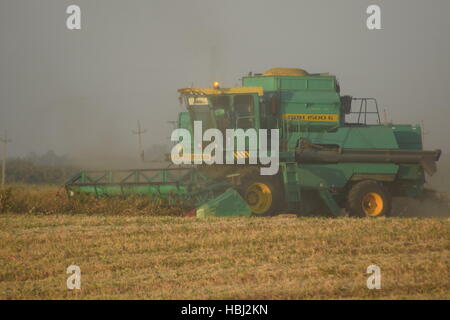 Soja-Ernte von verbindet im Feld. Stockfoto