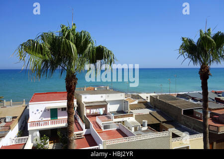 Zimmerpflanzen in Valencia Stockfoto