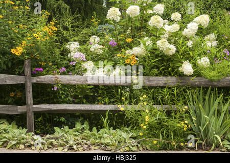 Verwitterter Holzzaun und Blumen Stockfoto