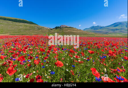 Castelluccio di Norcia (Umbrien, Italien) Stockfoto