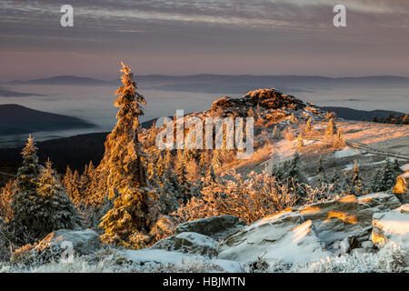 Sonnenaufgang am großen Arber Berg, Bayern, Deutschland Stockfoto