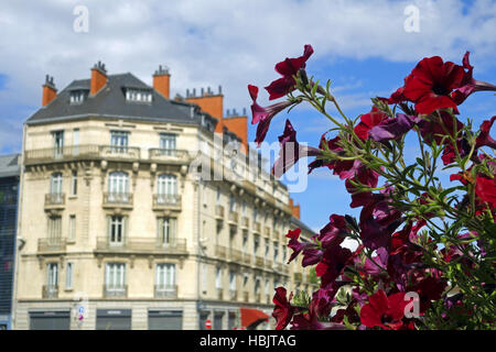Dijon, Frankreich Stockfoto