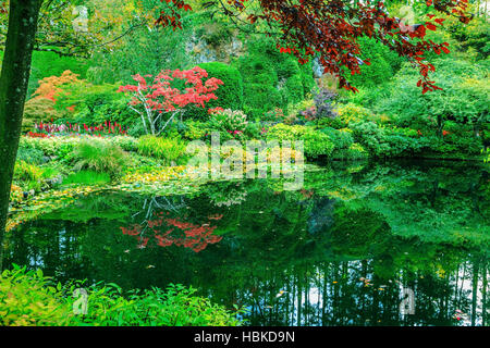 Im kleiner Teich reflektiert Bäume Stockfoto