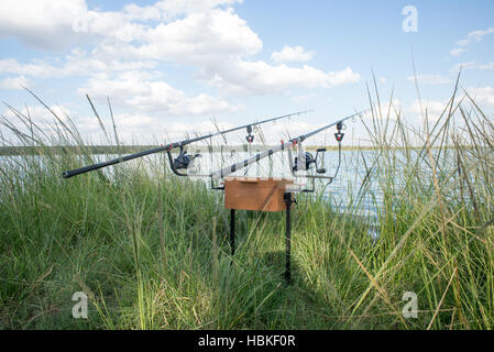 Angelruten von Wasser in Grass Stockfoto