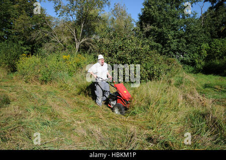 Wiese Mähen mit Sichelmähwerk bar Stockfotografie Alamy