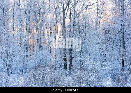 nicht zugefrorenen Teich im winter Stockfoto