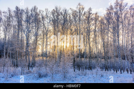 nicht zugefrorenen Teich im winter Stockfoto