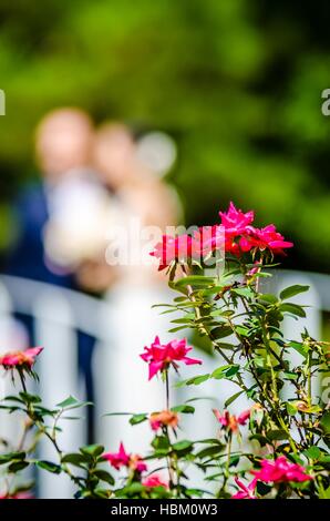 Hochzeit Einrichtungsdetails im Garten Veranstaltungsort Stockfoto