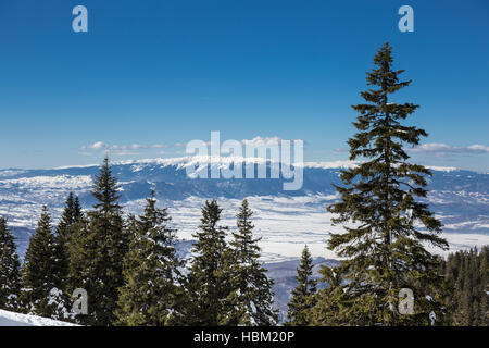 Winter-Szene in Poiana Brasov Stockfoto