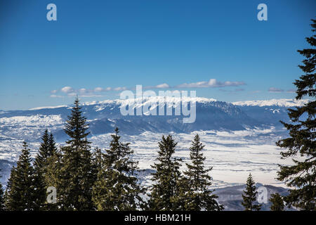 Winter-Szene in Poiana Brasov Stockfoto