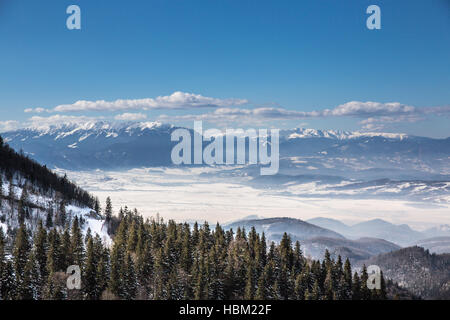 Winter-Szene in Poiana Brasov Stockfoto