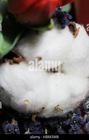 Strauß Tulpen, Eukalyptus, Lavendel Stockfoto