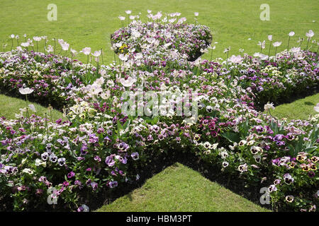 violette Bett Stockfoto