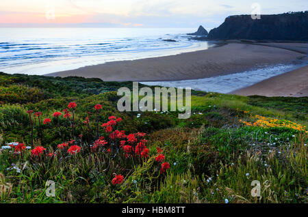 Odeceixe Strand Sonnenuntergang (Algarve, Portugal). Stockfoto