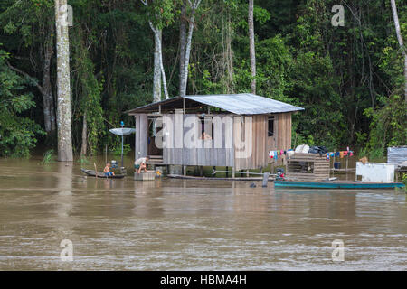 Holzhaus auf Stelzen entlang des Amazonas und Regenwald, Brasilien Stockfoto