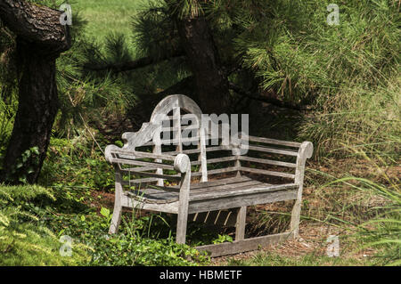 Holzbank im park Stockfoto