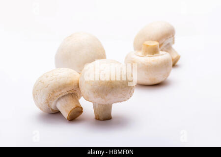 Fünf Champignon Champignons Stockfoto