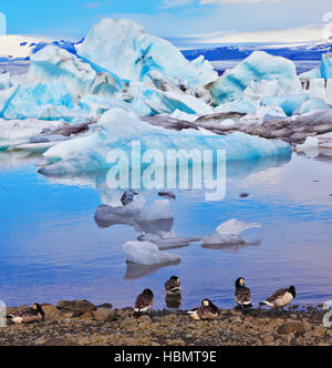 Die Lagune Jökulsárlón im Juli Stockfoto