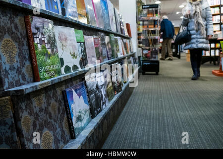 Kunden Surfen in einem Waterstones Buchladen. Stockfoto