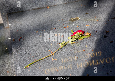 getrocknete Rose auf einem Grab Stockfoto