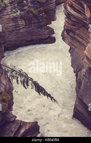 Canyon im Banff NP Stockfoto