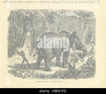 Bild entnommen Seite 451 von "The Natural History of Man; wird Rechenschaft über die Sitten und Gebräuche der unzivilisierten Rennen der Männer... Mit neuen Designs von Angas, Danby, Wolf, Zwecker etc., etc.. Von den Brüdern Dalziel graviert ' Bild entnommen Seite 451 von "The Natural History of Stockfoto