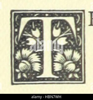 Bild von Seite 74 von "A Tragedy in grau. Ein Roman "Bild entnommen Seite 74 von" A Tragedy in grau Stockfoto