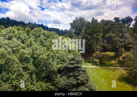 Arboretum von tropischen und subtropischen Pflanzen. Stockfoto