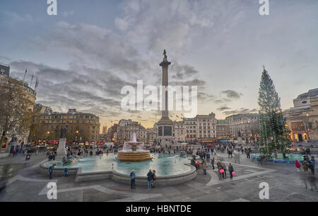 Trafalgar Square in London.    Weihnachten in London. Stockfoto