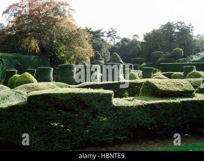 Abgeschnittene Eiben Hecke in den formalen Gärten, Elvaston Castle, Derbyshire, UK Stockfoto