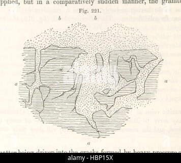 Bild entnommen Seite 700 von "The Geological Observer" Stockfoto