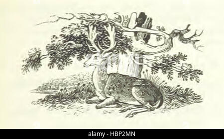 Seite von „Robin Hood“ mit Geschichten von Robin Hood, einschließlich Charakteren, Sherwood Forest, Outlaws, Bogenschießen, Abenteuer, Konflikte, Legenden und Illustrationen. Stockfoto