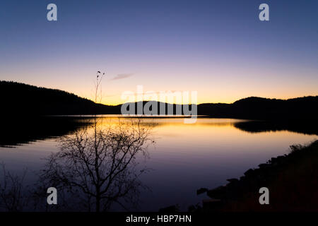 Sonnenuntergang am Ladogasee. Die Schatten der Bäume im Wasser gespiegelt. Sonnenuntergang sorgt für eine Aura umgibt diese Schatten. Stockfoto