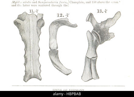 Geschichte von Vermont, etc. Bild entnommen Seite 676 "Geschichte von Vermont, etc." Stockfoto