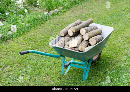 Sackkarre mit Brennholz auf dem grünen Rasen Stockfoto