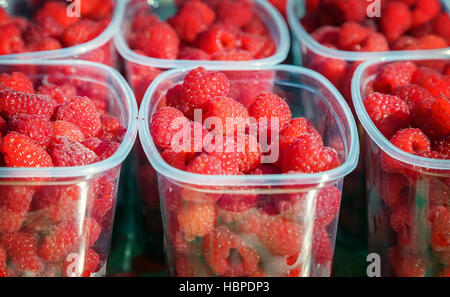 Himbeeren in Containern zu verkaufen. Stockfoto