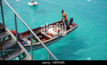 frisch aus dem gelben Meer flossen Thunfisch Stockfoto