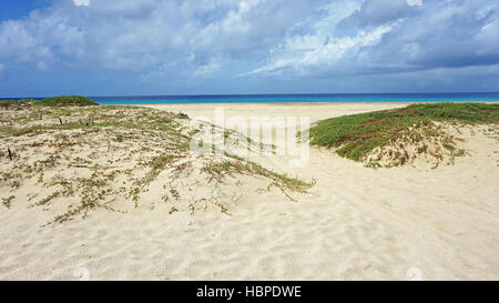 Strand von Santa Maria auf Kap verden Stockfoto