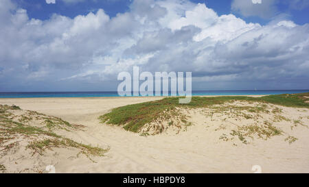 Strand von Santa Maria auf Kap verden Stockfoto