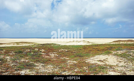 Strand von Santa Maria auf Kap verden Stockfoto