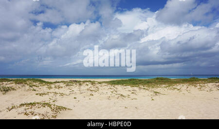 Strand von Santa Maria auf Kap verden Stockfoto