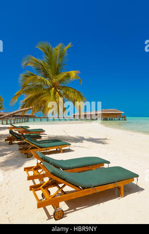 Liegestühle am Strand der Malediven Stockfoto