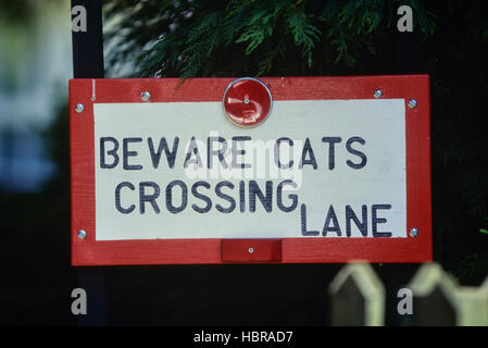 Kraftfahrer Warnzeichen für die Kreuzung Katzen. England.de Stockfoto