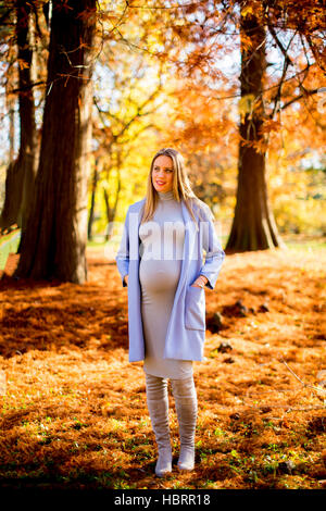 Schwangere Frau posiert im Herbst park Stockfoto