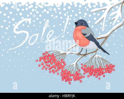 Winter-Verkauf-Karte mit Gimpel auf der rowan Stock Vektor